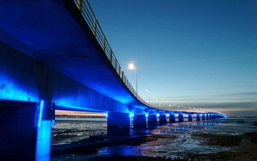 Mer A 200M,,Ds Les Mimosas En Fleur ! Ronce-les-Bains Eksteriør billede